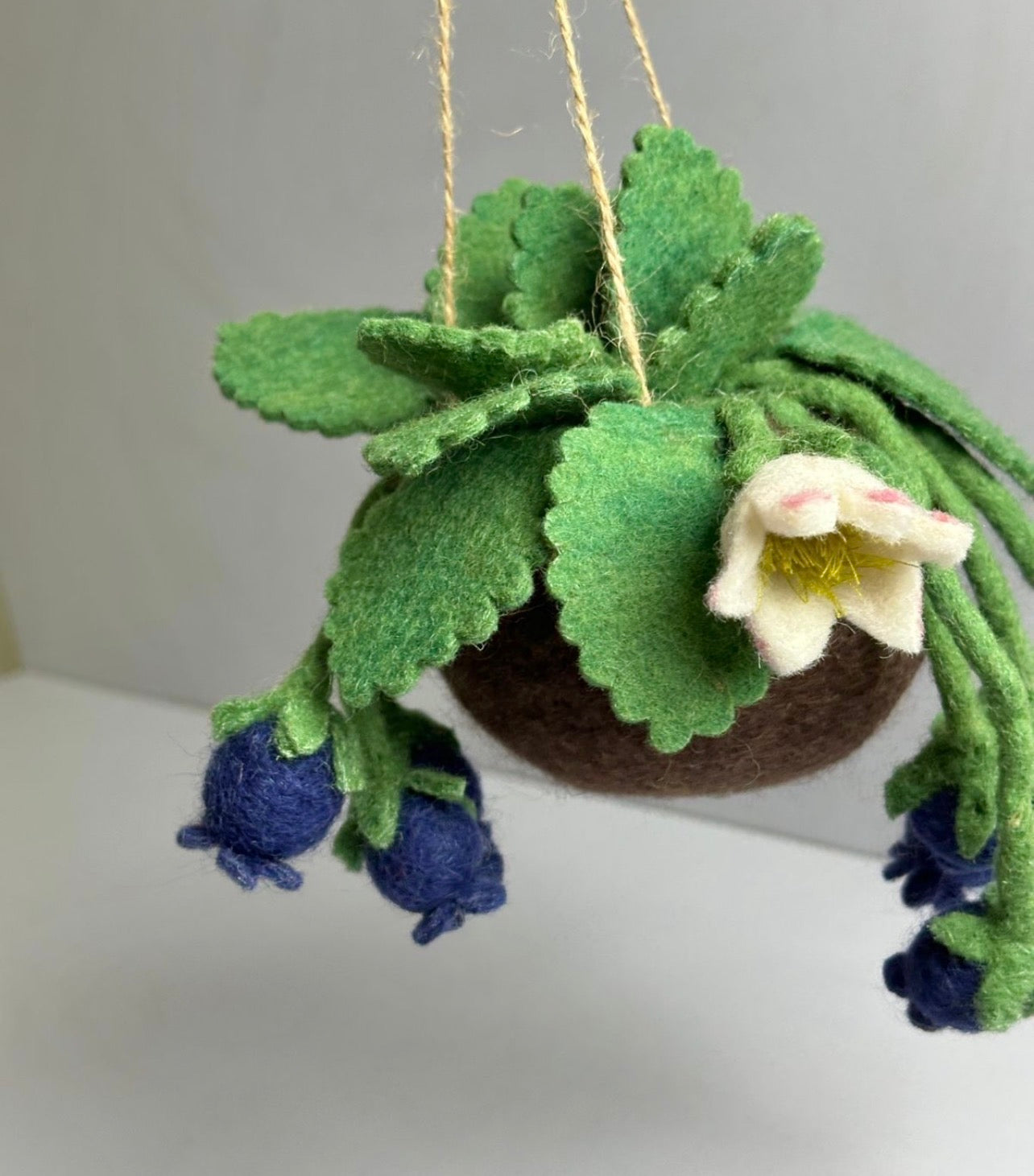 Blueberry felt Kokedama - hanging plant