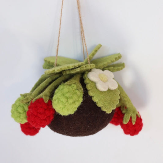 Raspberry felt Kokedama - hanging plant