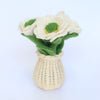 White meadowcup flower and sets