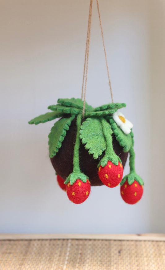 Strawberry felt Kokedama - hanging plant