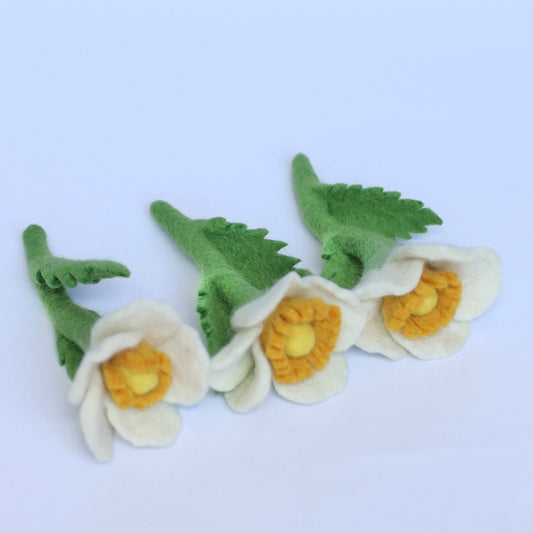 Milk & Honey bloom singles and sets