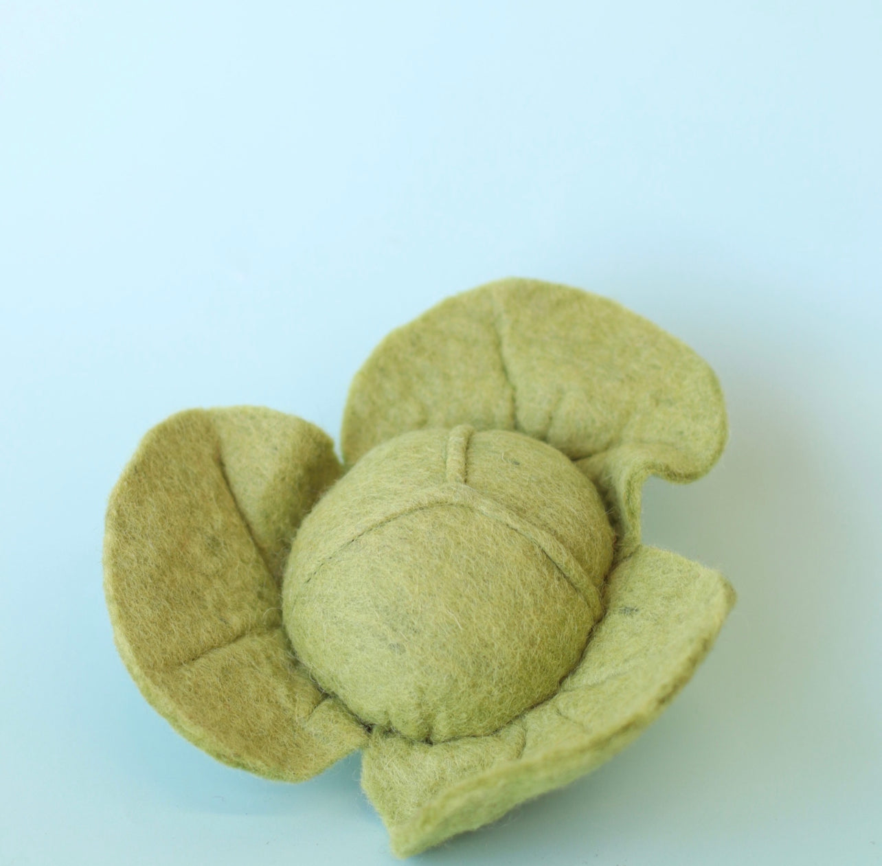 Papoose Large Lettuce