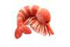Large Felt Prawn 🦐- 1 pce