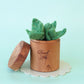 Juni Moon Heirloom Herb pots - kitchen play