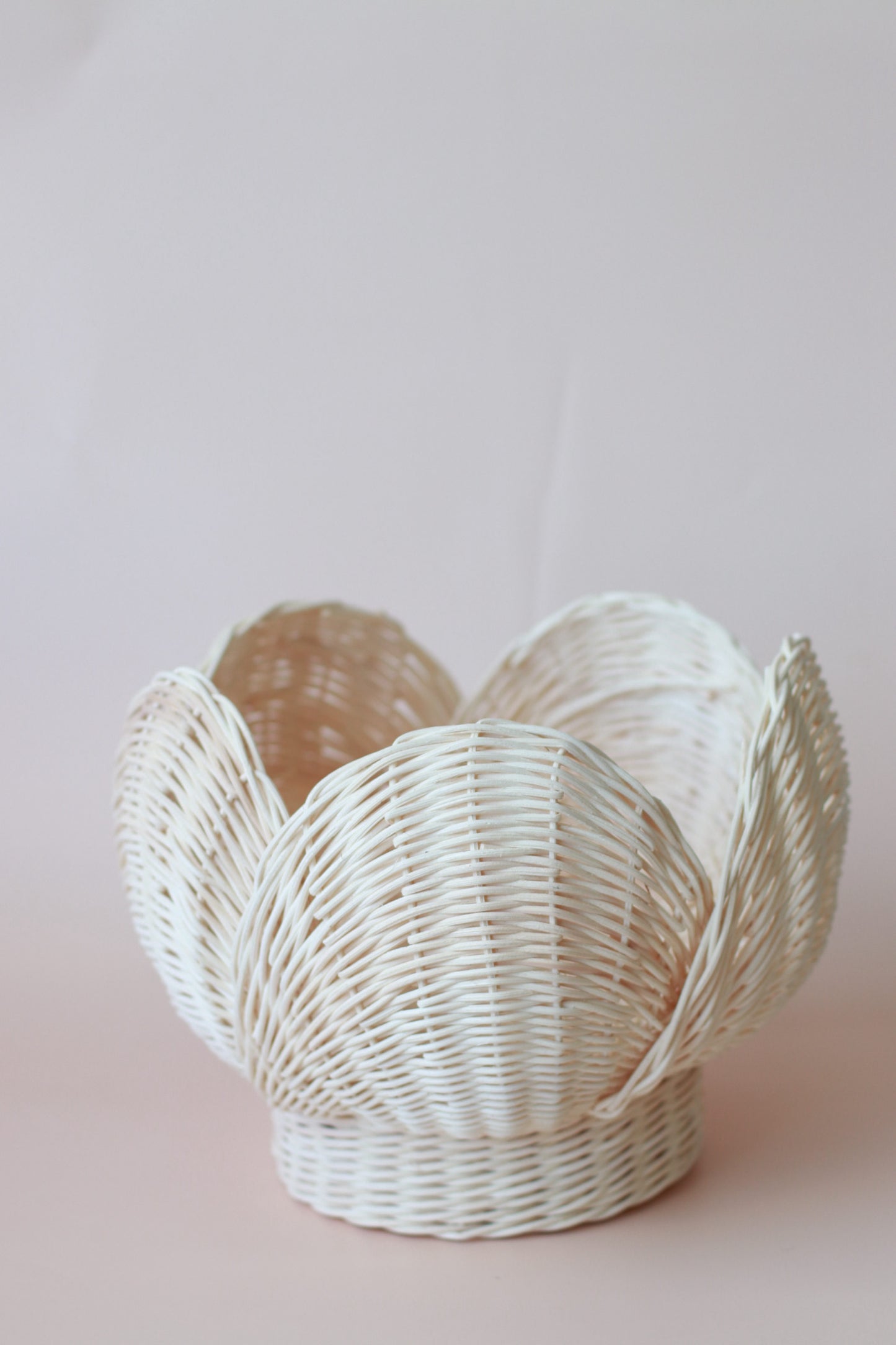 ON SALE Large Clam vintage style basket