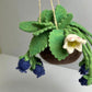 Blueberry felt Kokedama - hanging plant