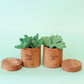 Juni Moon Heirloom Herb pots - kitchen play