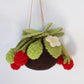 Raspberry felt Kokedama - hanging plant