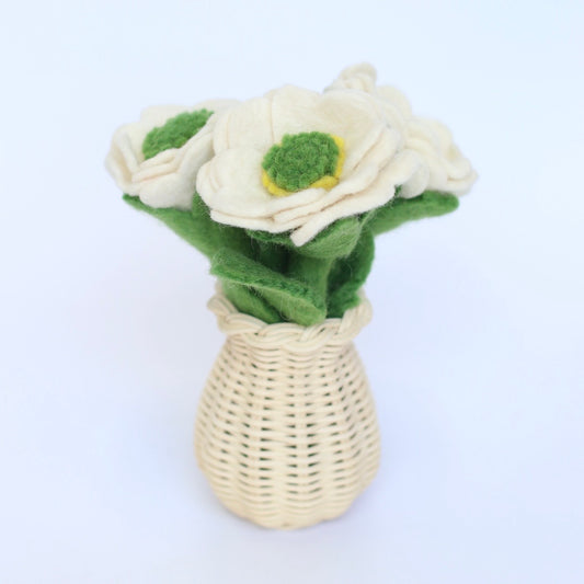 White meadowcup flower and sets