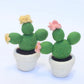 Felt cactus in pot- 2 styles