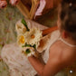 White meadowcup flower and sets