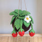 Strawberry felt Kokedama - hanging plant