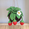 Strawberry felt Kokedama - hanging plant