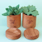 Juni Moon Heirloom Herb pots - kitchen play