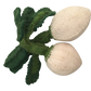 White turnips - 2 pce