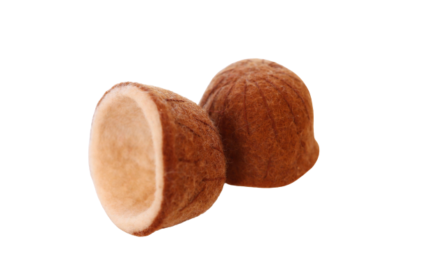 Papoose Coconut - set of 2