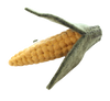 Papoose Maize Corn - 1 pce
